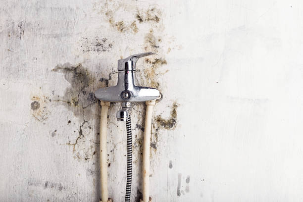 Best Mold Testing  in Eureka, IL