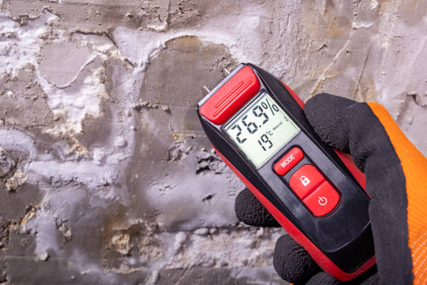Crawl Space Mold Removal in Eureka, IL