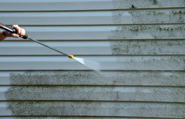 Best Attic Mold Removal  in Eureka, IL
